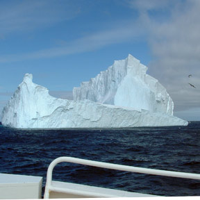 Iceberg