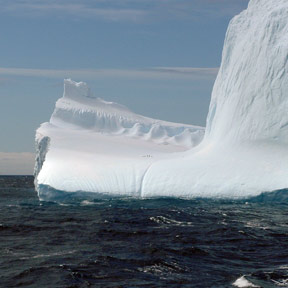 Iceberg