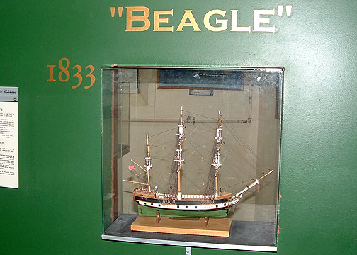 Beagle model at Ex Presidio