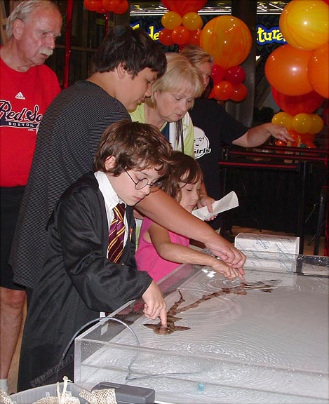 Kid as Harry Potter petting a shark