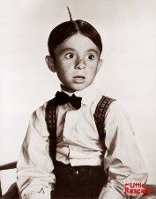 Alfalfa