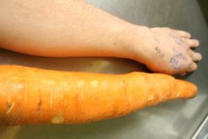 Big Carrot