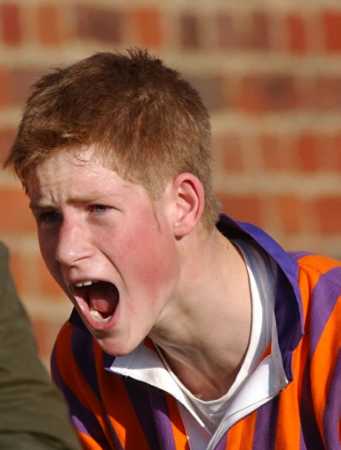 Prince Harry, 24 Nov., 2001